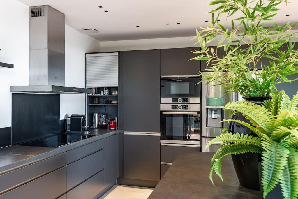 Bella By Terry's Homes Cannes